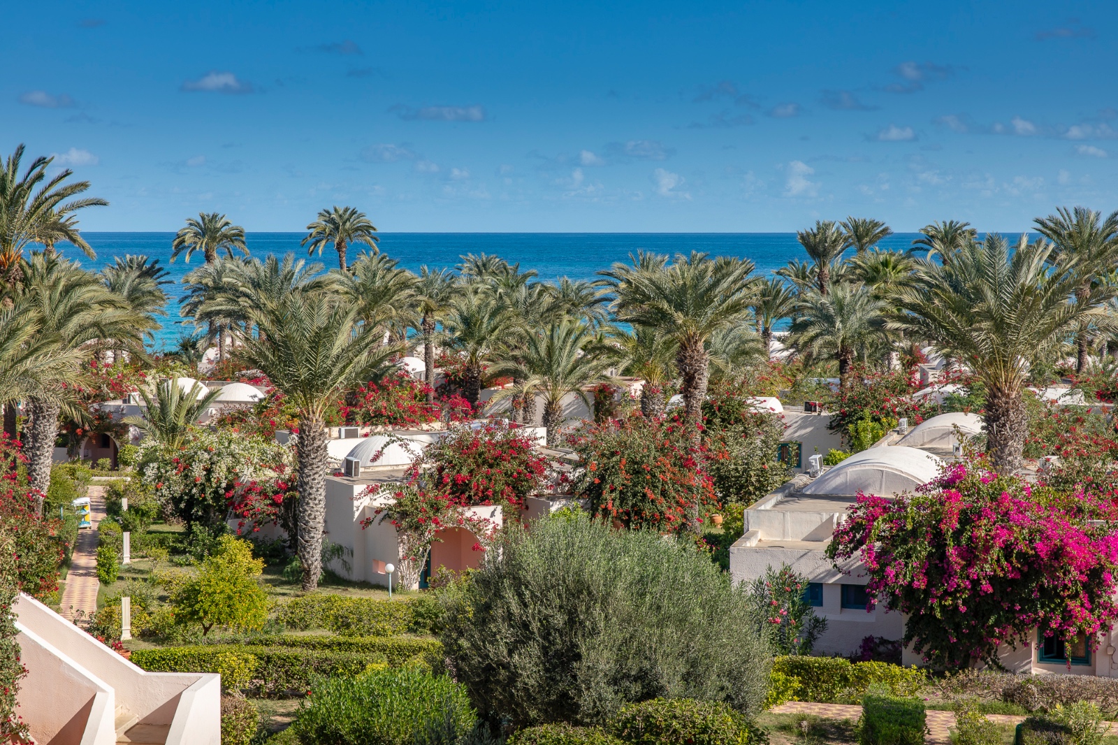 Khaled Frikha Photographe professionnel Nancy -Hotel Oasis Marina  Djerba Tunisie