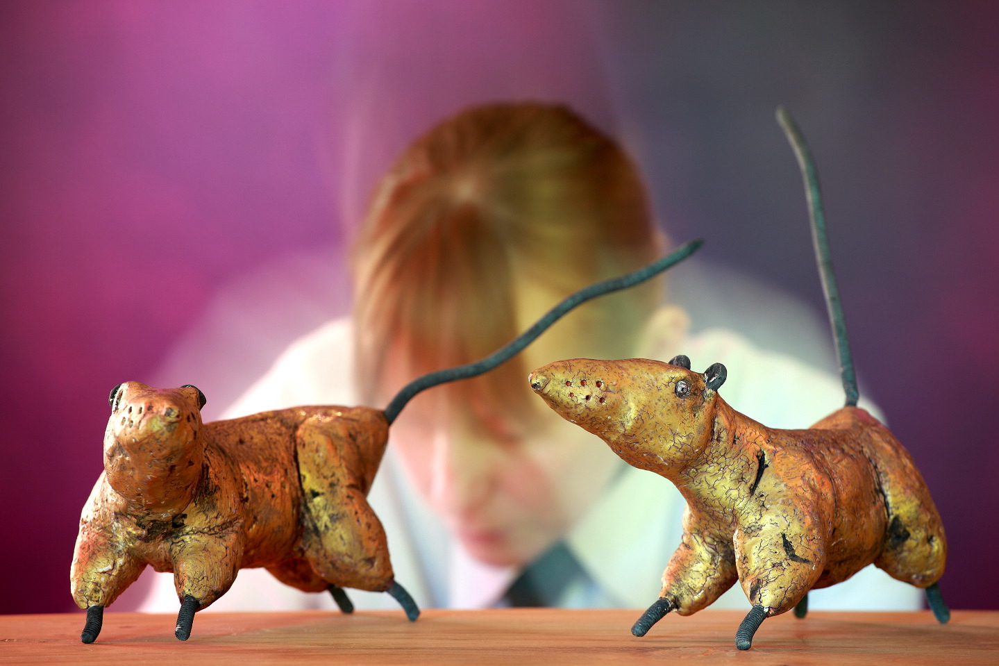 Kfrikha photographe hotellerie réception06