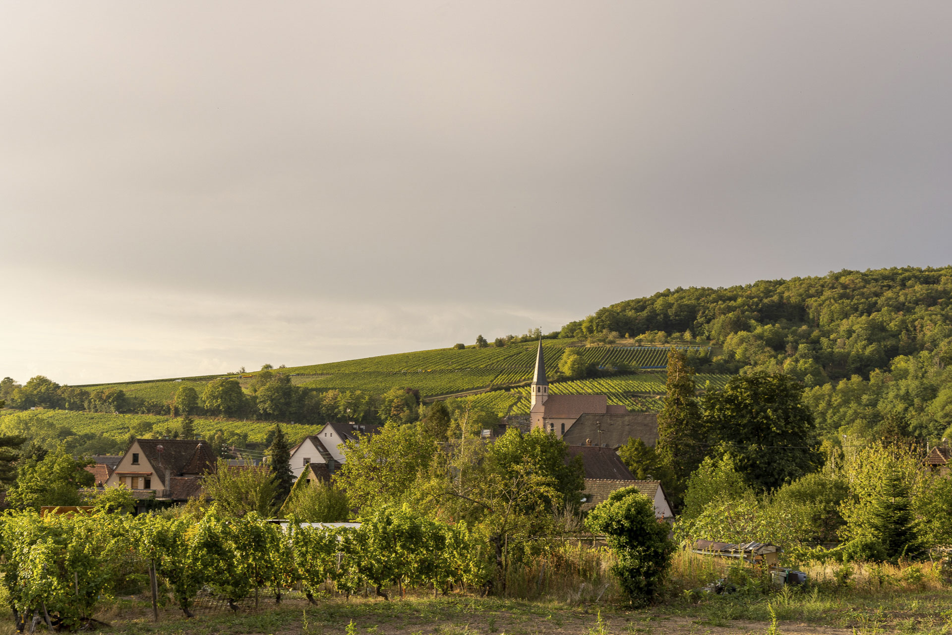 6712 Boutique FR andlau region 12