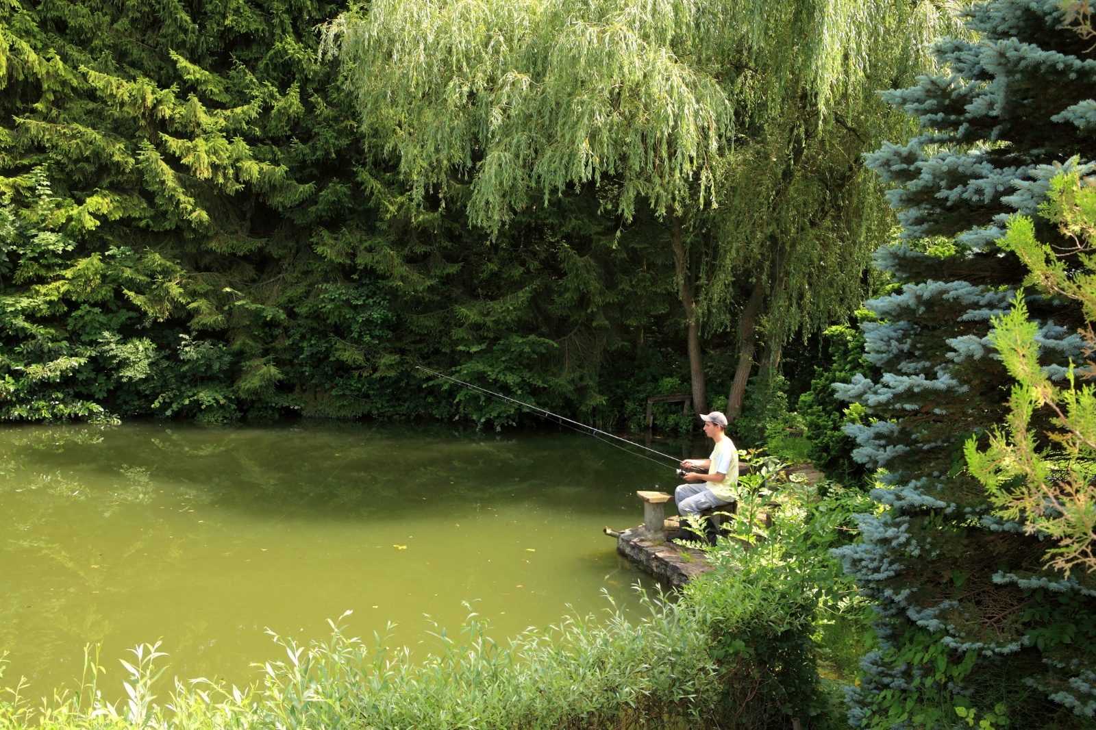 Photographe professionel Nancy - pêcherie en France