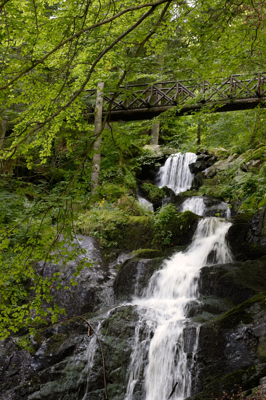 Photographe professionel Nancy - Cascade  en France