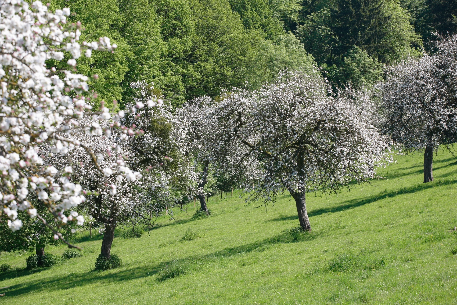 Kfrikha photographe paysage nature51