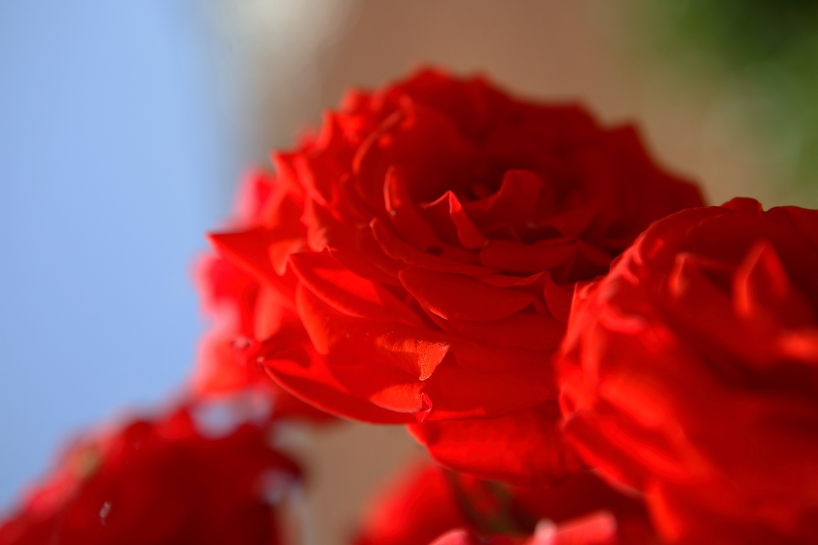 Kfrikha photographe paysage nature63