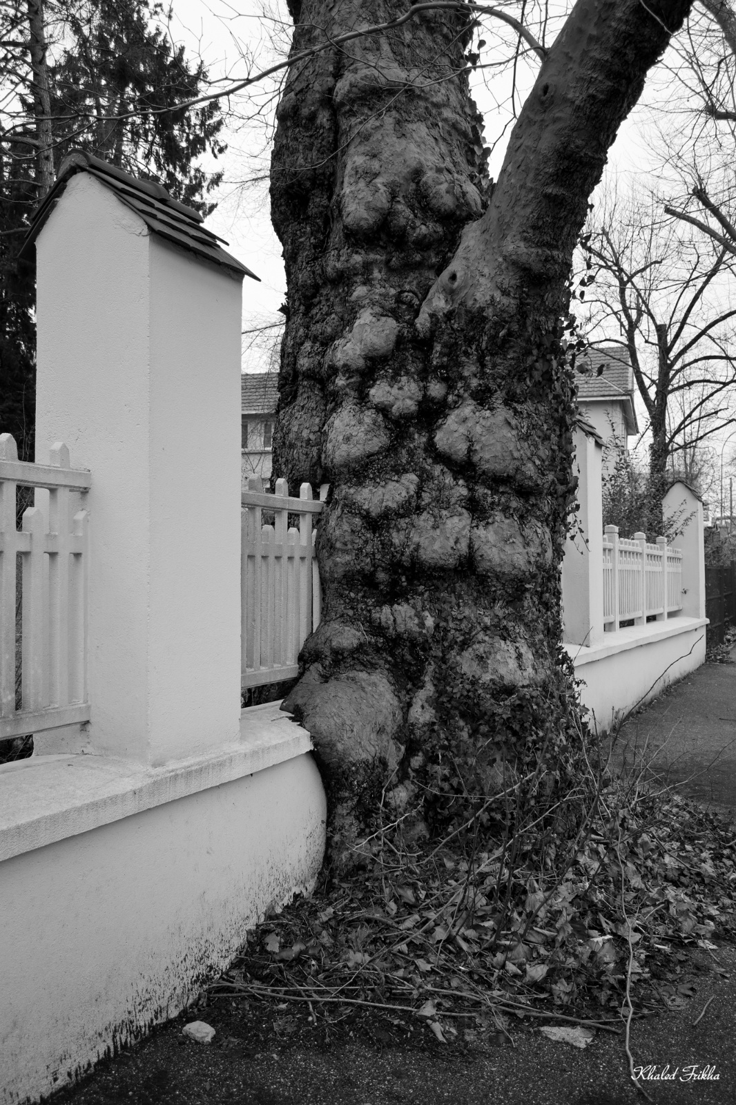 Khaledfrikha photographe paysage nancy lorraine IMG 0035013