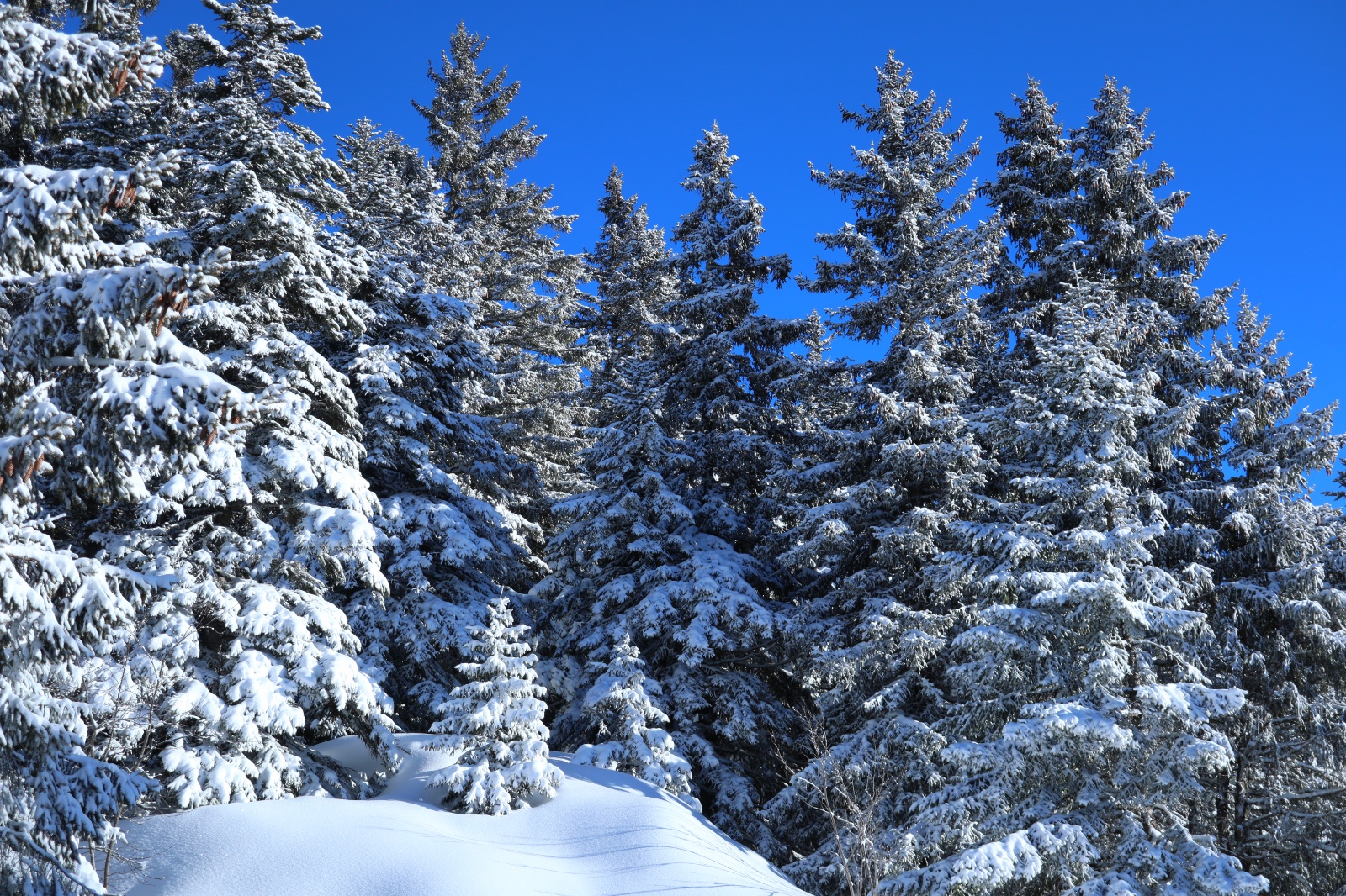 Khaledfrikha photographe paysage nancy lorraine IMG 0468002