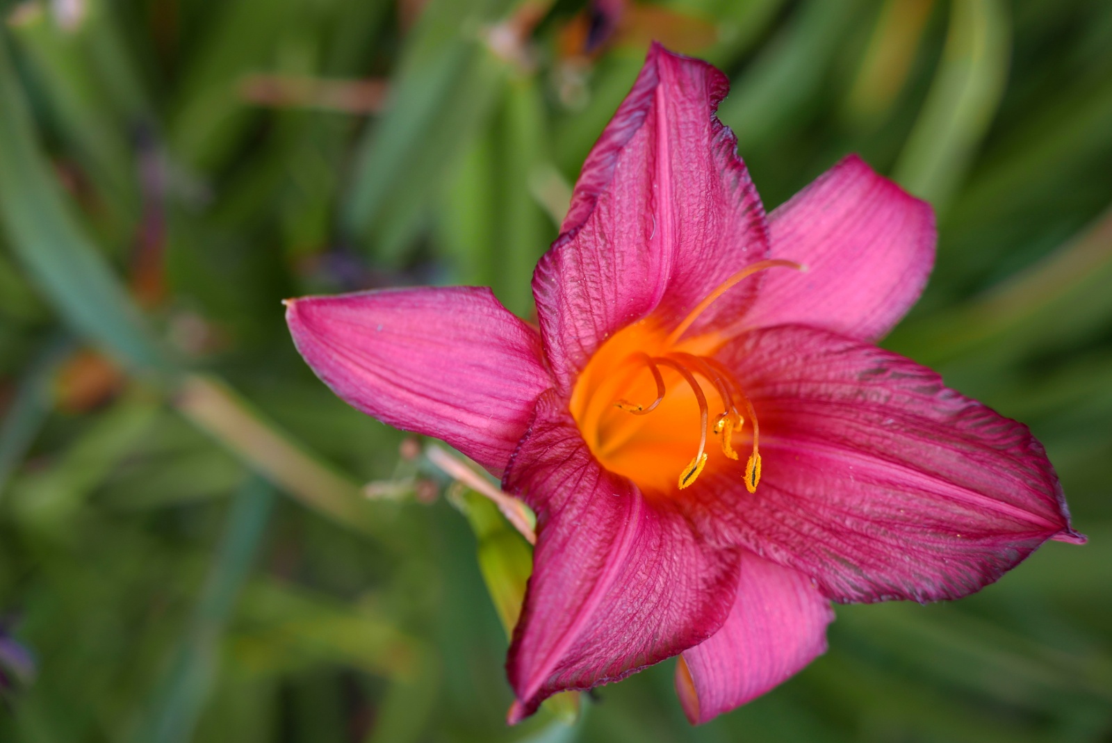 Khaledfrikha photographe paysage nancy lorraine P1010324093039