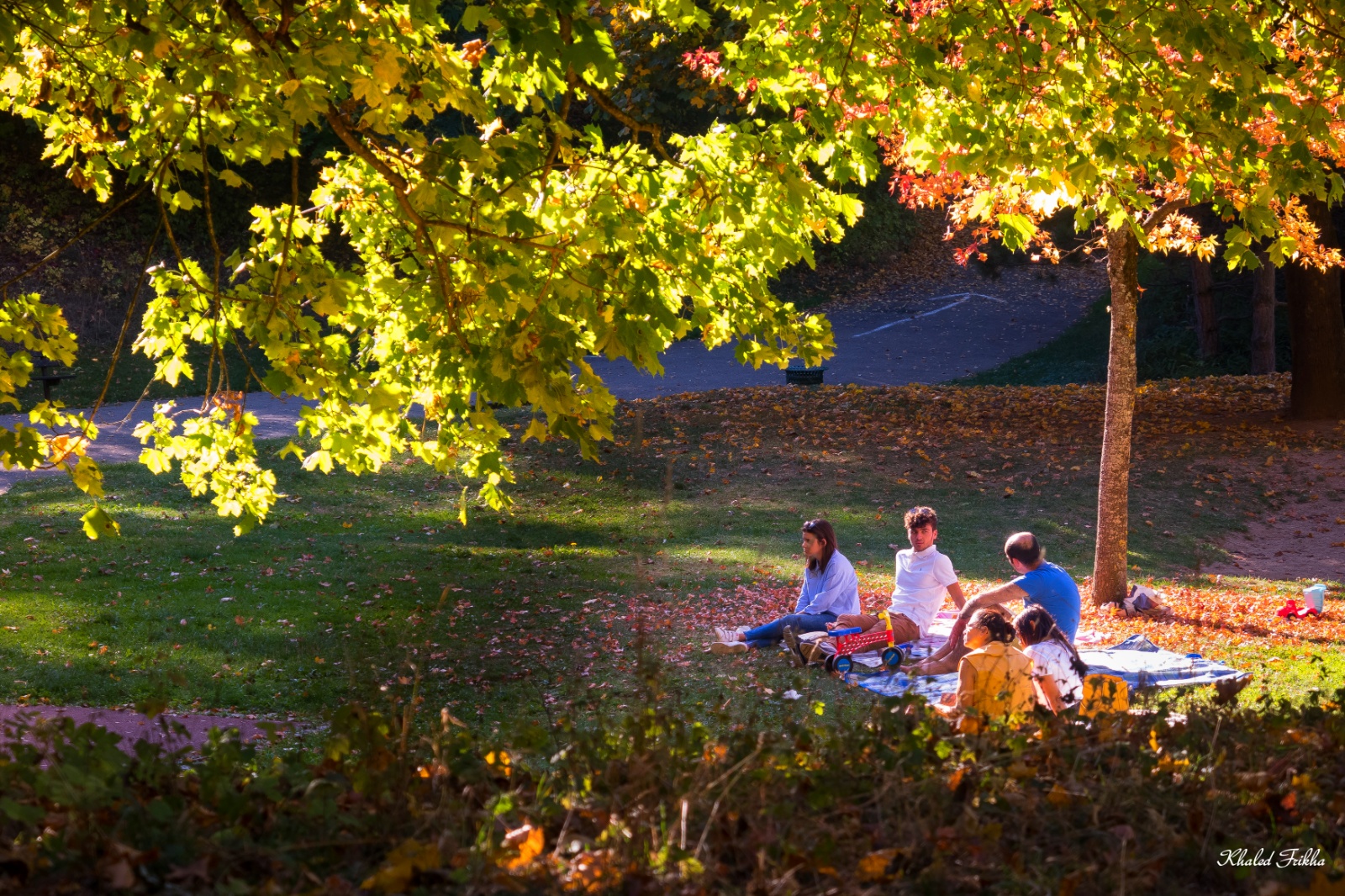 Khaledfrikha photographe paysage nancy lorraine khaledfrikha photographe personnel nancy lorraine IMG 5992045004