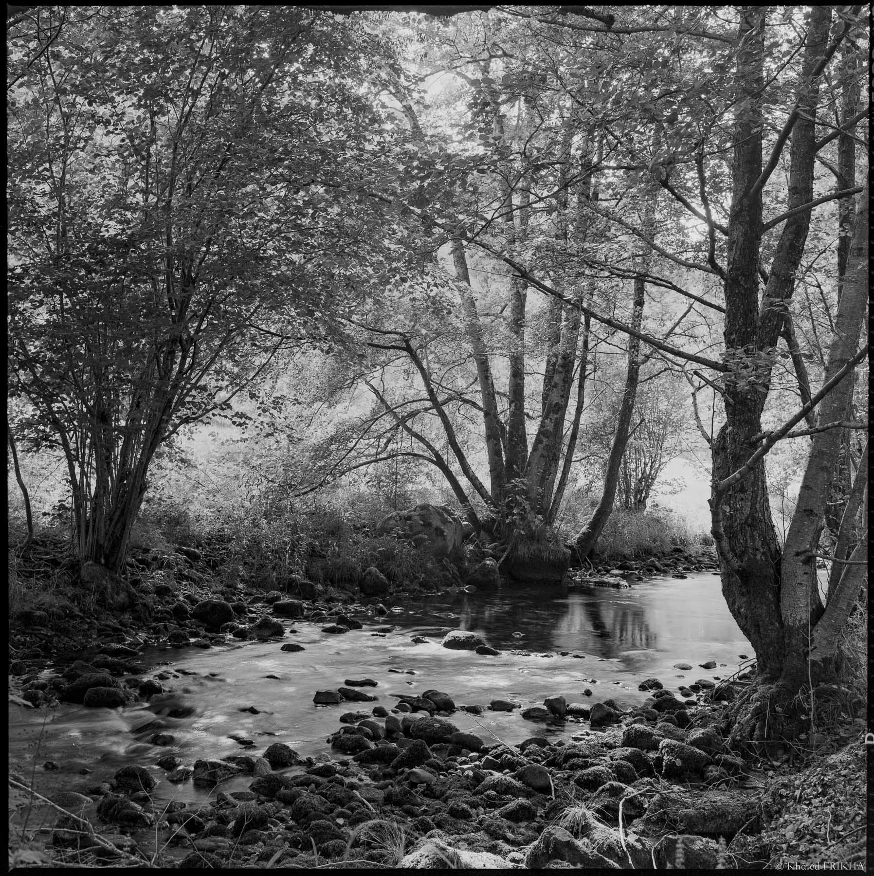 Test rolleiflex 3.5f planar 8 2022 7