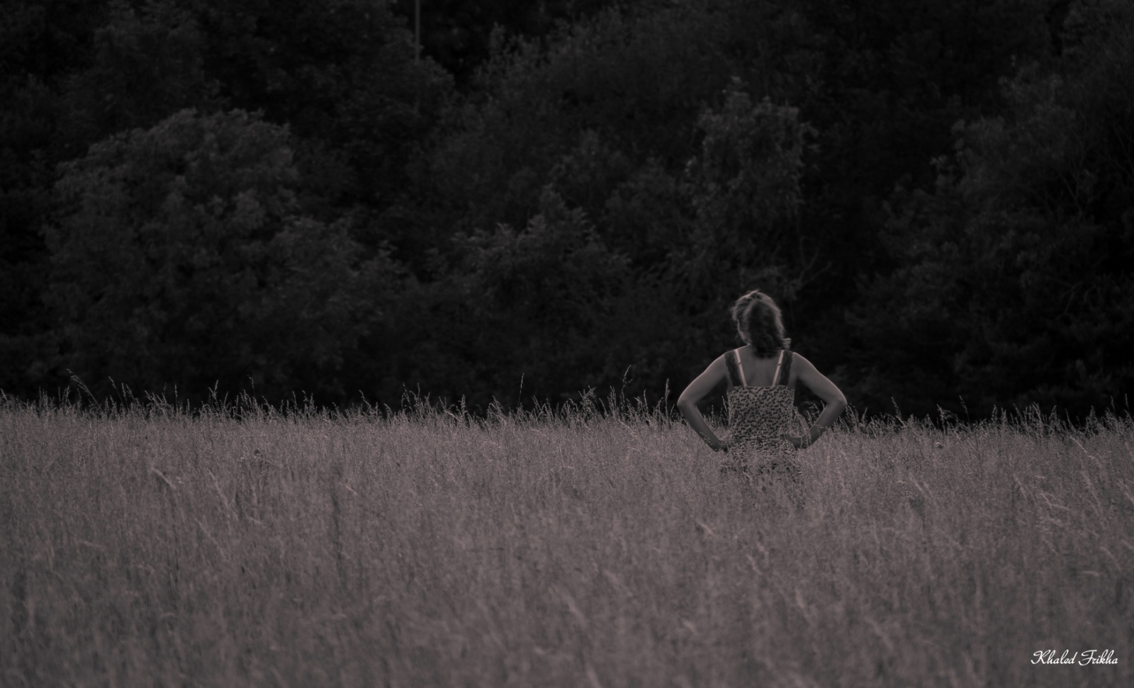 Khaledfrikha photographe personnel nancy lorraine IMG 4017044014